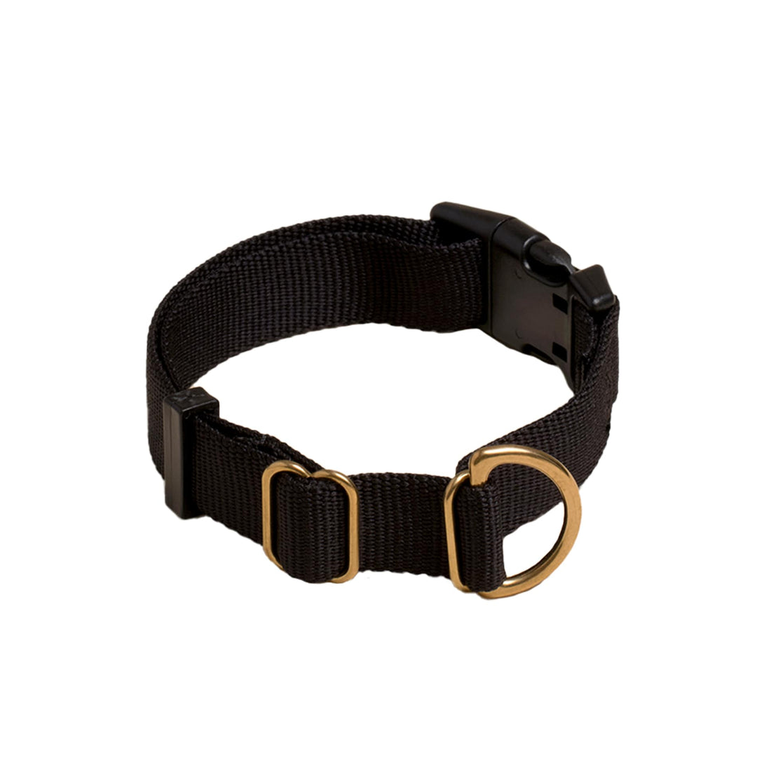 Pack Collar The comfort fastrelease buckle collar for your dog Awoo