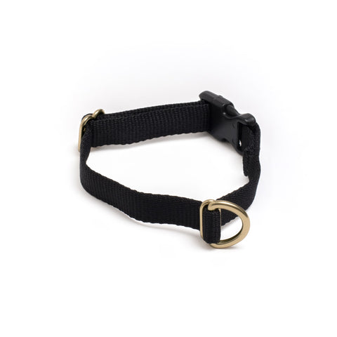 Awoo Pack Collar in black with gold hardware-extra-small