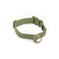 Awoo Pack Collar in olive green with gold hardware-extra-small