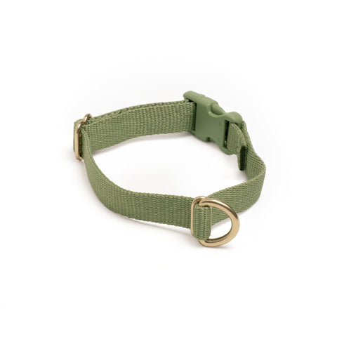 Awoo Pack Collar in olive green with gold hardware-extra-small