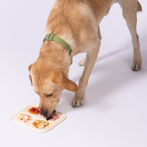 Tarvos Silicone Dog Licking Mat, 0.58 L x 0.58 W x 0.49 H