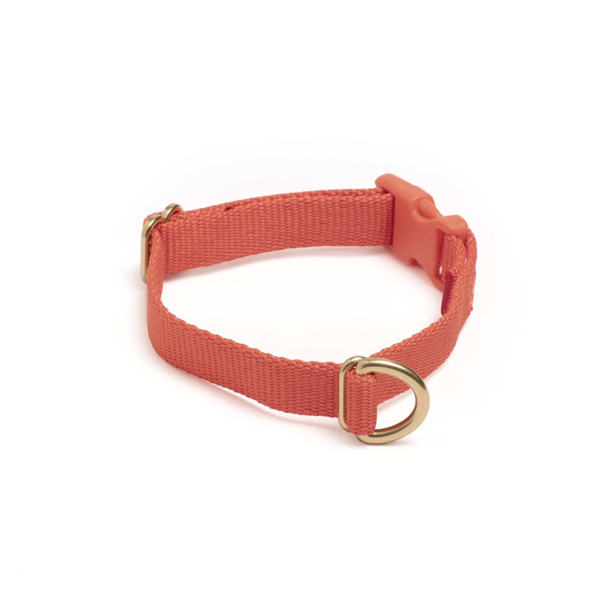 Pack Collar: The comfort fast-release buckle collar for your dog