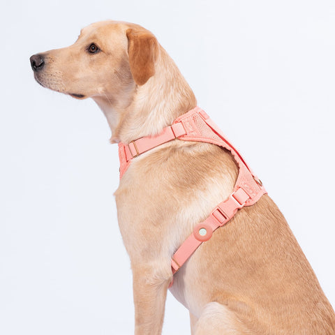 Peach pink Fetch AirTag holder on peach pink Awoo huggie dog harness in large worn by yellow Labrador dog. Side view of dog wearing harness to show airtag location.