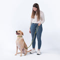 Awoo Infinity Dog Leash in olive green demonstration of the standard short leash with handle fuction attached to the Awoo Marty martingale collar in olive green. Best selling hands free leash; worn by yellow labrador sitting in size large and leash held by a woman with an average build.
