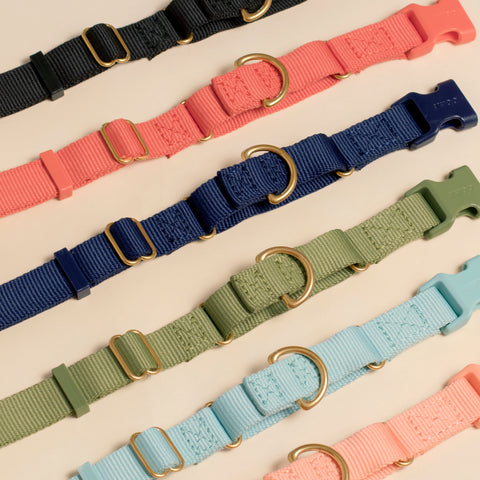 Awoo Marty Collar laid flat to showcase the premium reinforced stitching and eco-friendly construction.