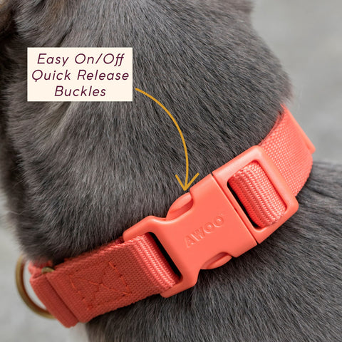 Close-up of the Awoo Marty Collar fast-release buckle for easy on-and-off convenience during daily use.