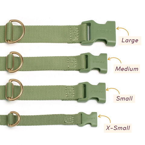Awoo Marty martingale Collar in extra small, small, medium and large