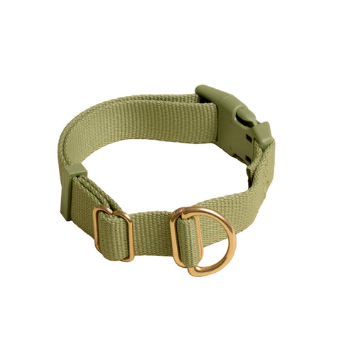 Awoo Pack Collar with a dedicated brass D-ring for easy attachment of ID tags and charms.