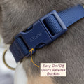 Awoo Pack Collar: lightweight and soft-touch recycled material for all-day comfort for your pet.