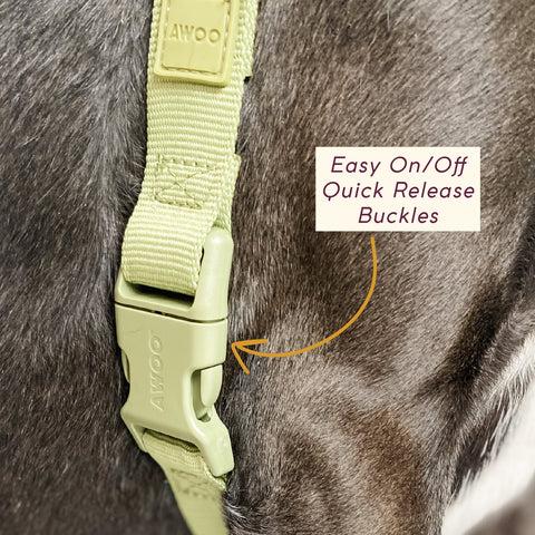 Awoo easy walk 3 strap roam dog harness in olive green on pitbull mix dog in size large to show fast release, easy on/off buckle.
